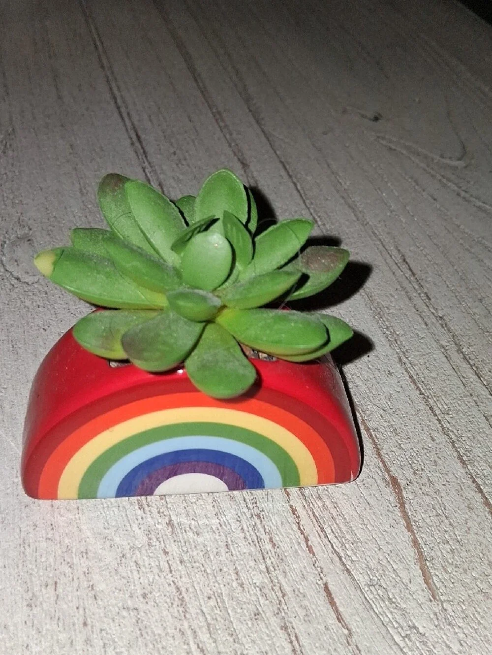 Ceramic Rainbow Succulent Planter - Faux Plant